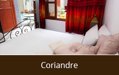 coriandre