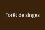 foret-de-singes