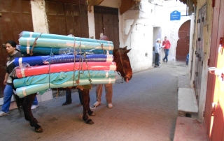 riad fes: la medina de Fes el Bali